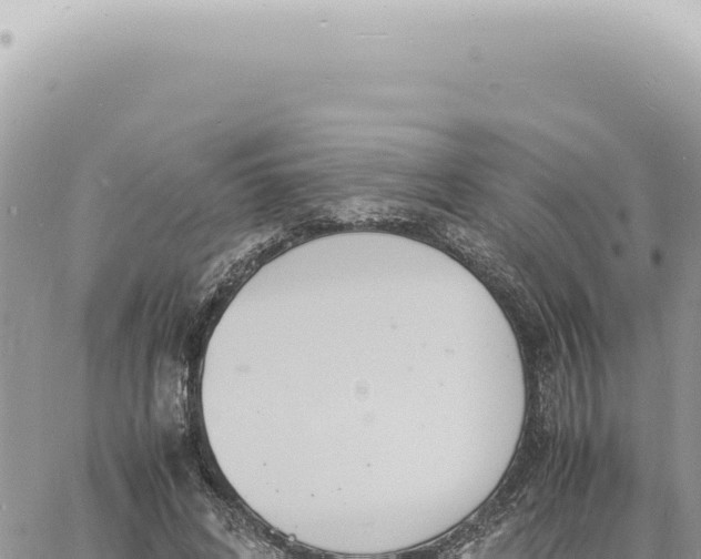 X0000060770592200511171215