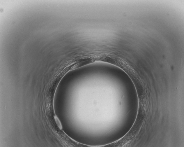 X0000060770593200511171215