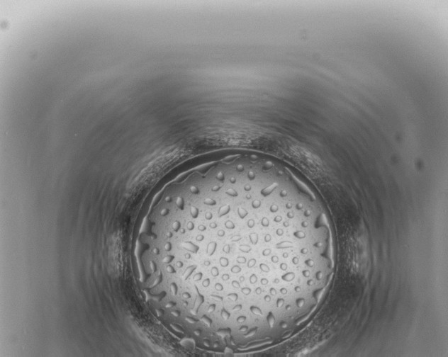 X0000060770594200511171215