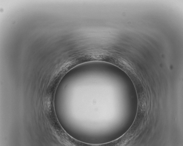 X0000060770595200511171215