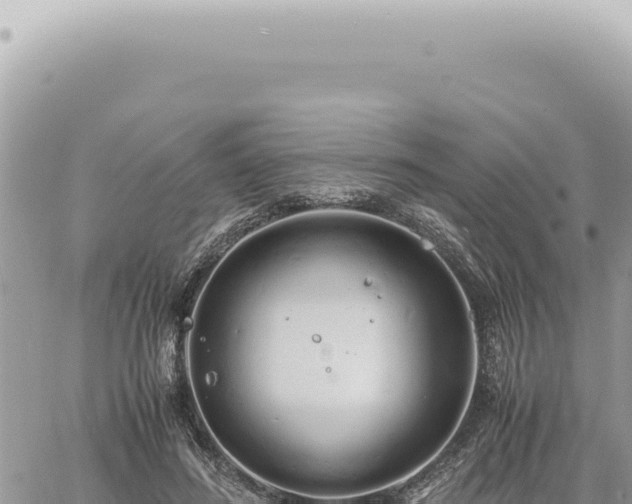 X0000060770596200511171215