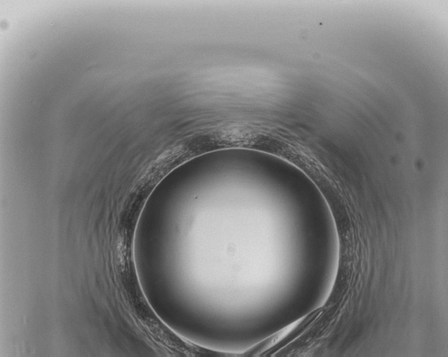 X0000060770597200511171215