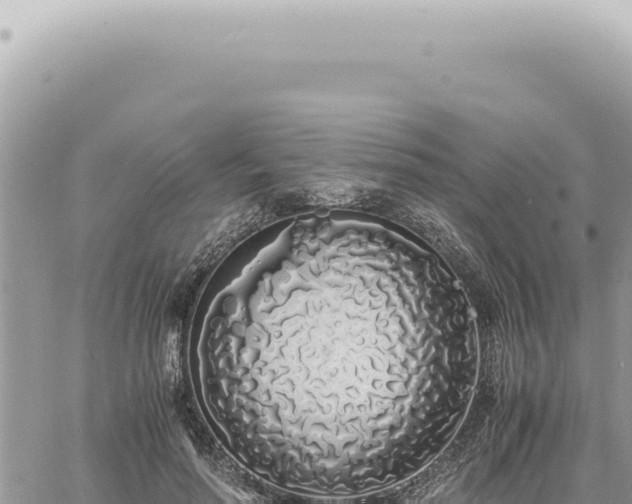 X0000060770598200511171215