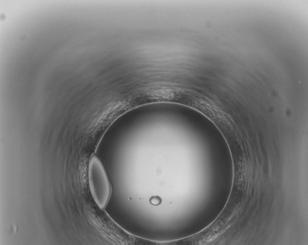 X0000060770600200511171215