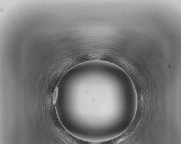 X0000060770601200511171215