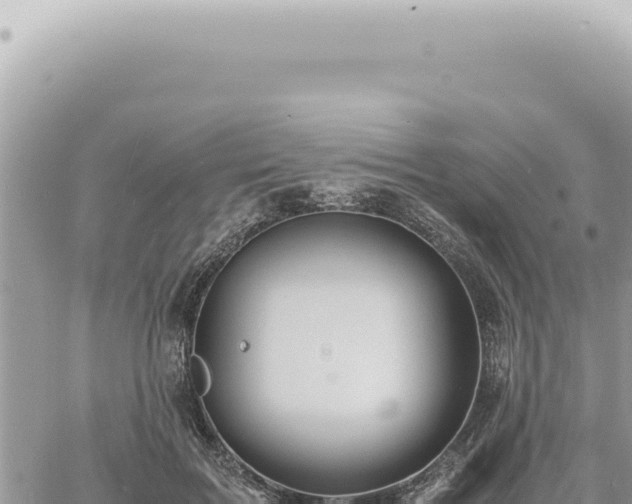 X0000060770603200511171215