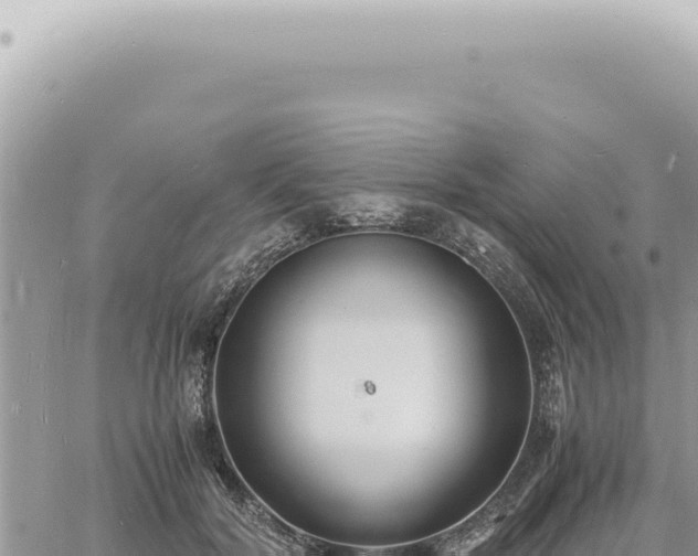 X0000060770604200511171215