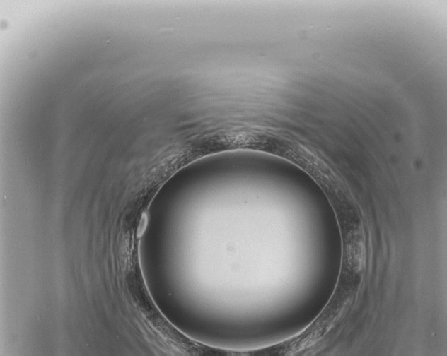 X0000060770605200511171215