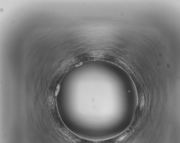 X0000060770609200511171215