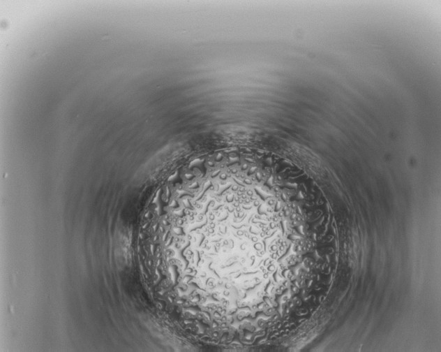 X0000060770610200511171215