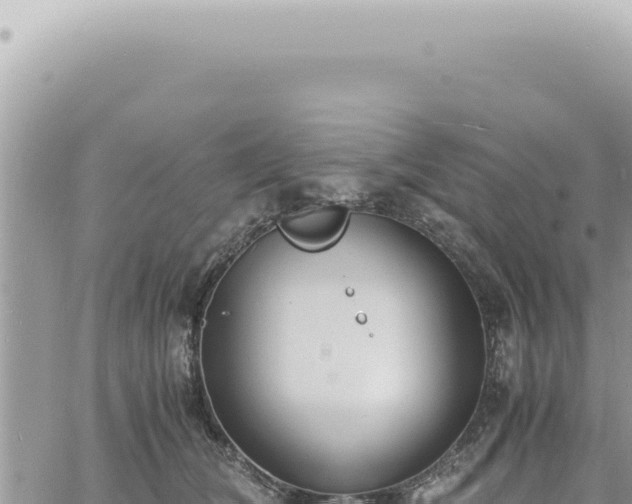 X0000060770612200511171215