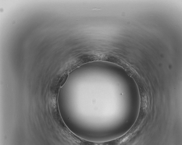 X0000060770613200511171215