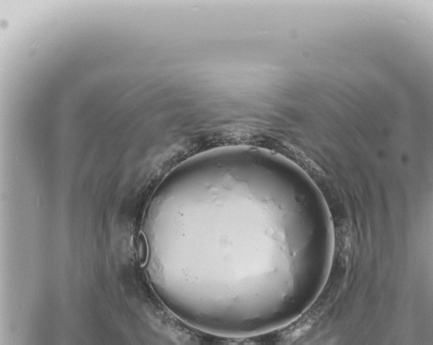 X0000060770615200511171215