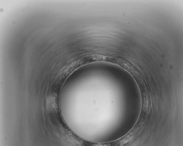 X0000060770616200511171215