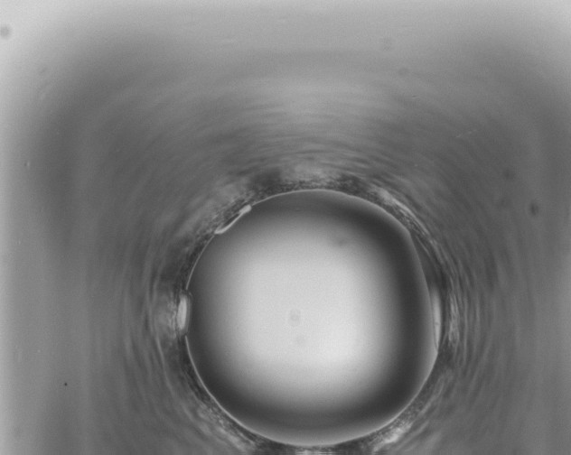 X0000060770617200511171215