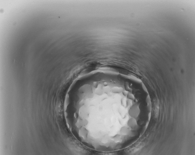 X0000060770619200511171215