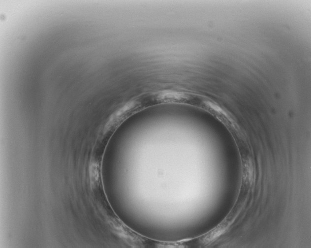 X0000060770621200511171215