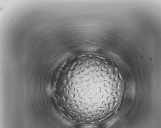 X0000060770622200511171215