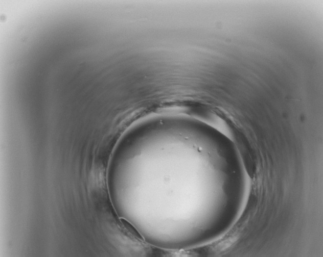 X0000060770623200511171215