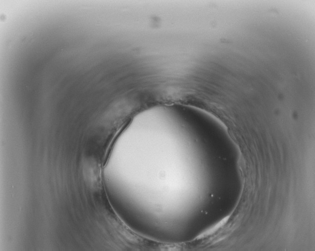 X0000060770624200511171215