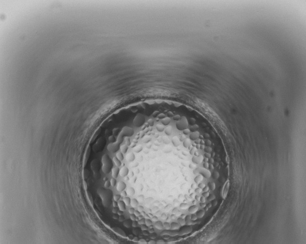 X0000060770625200511171214