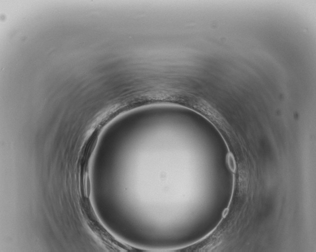 X0000060770626200511171214