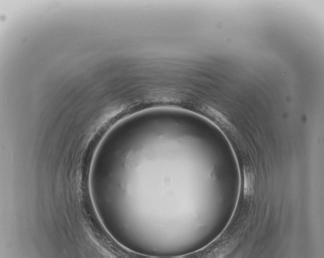 X0000060770627200511171214