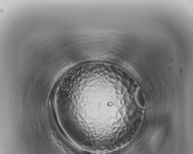 X0000060770628200511171214