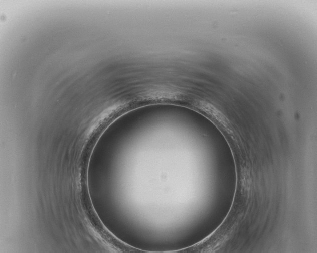 X0000060770629200511171214