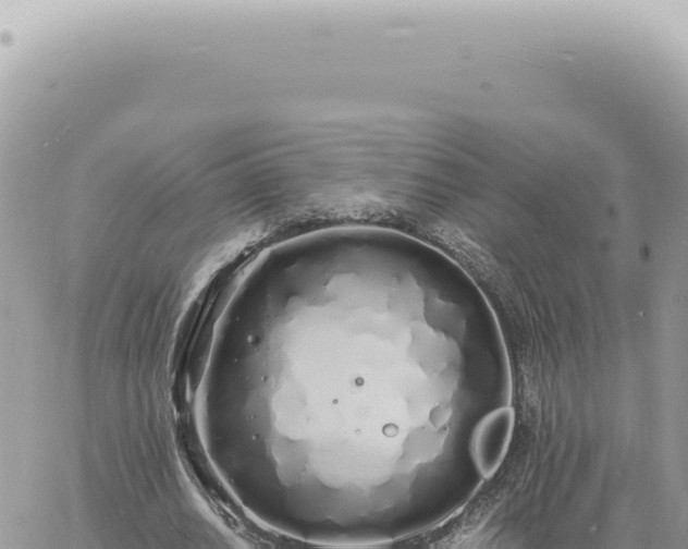 X0000060770630200511171214