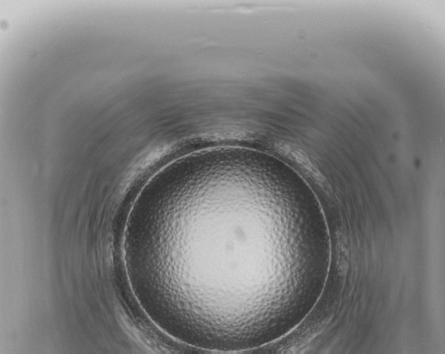 X0000060770631200511171214