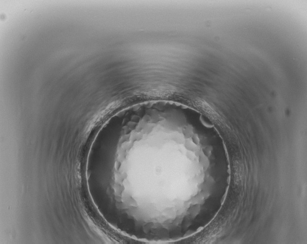 X0000060770634200511171214