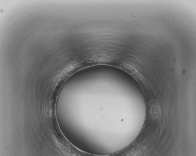 X0000060770635200511171214