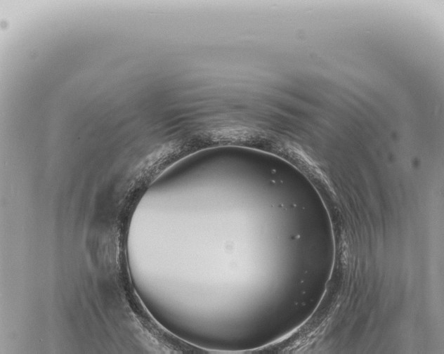 X0000060770637200511171214