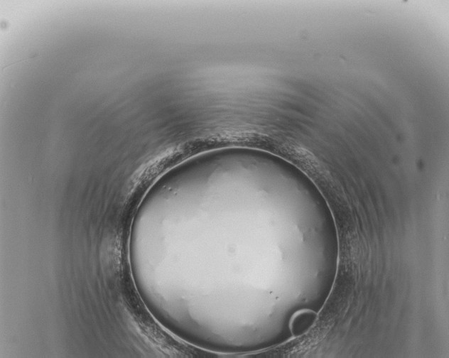 X0000060770640200511171214