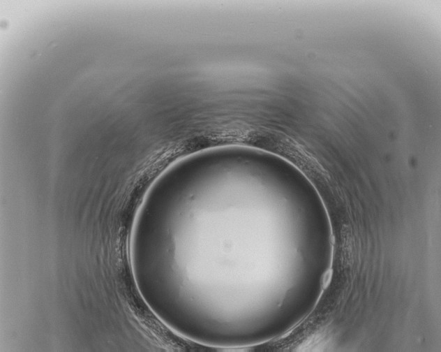 X0000060770641200511171214