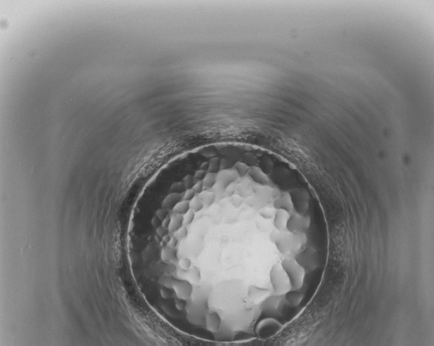 X0000060770642200511171214