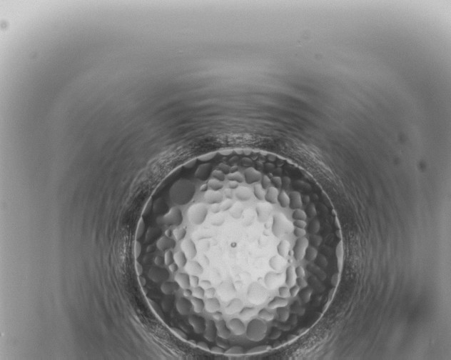 X0000060770645200511171214