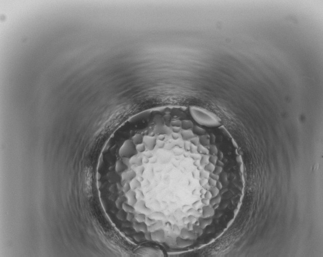 X0000060770646200511171214