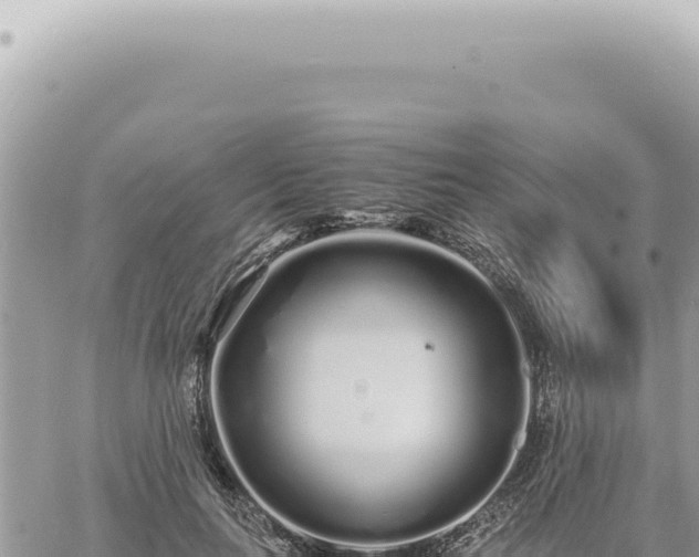 X0000060770647200511171214