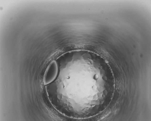 X0000060770648200511171214