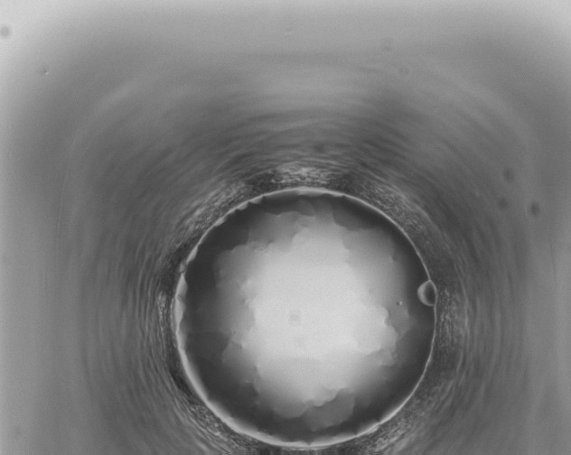 X0000060770649200511171214