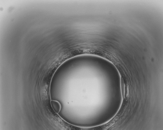 X0000060770650200511171214