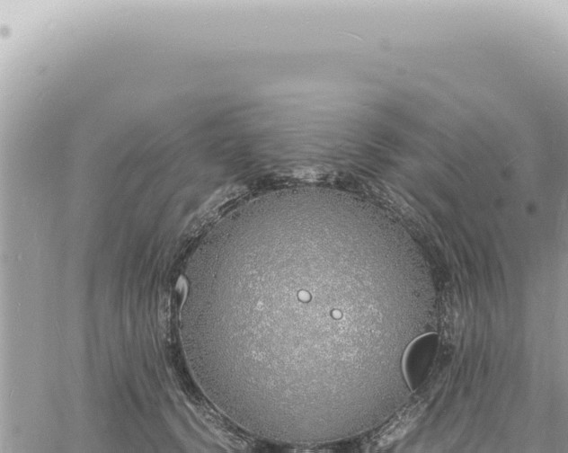 X0000060770656200511171214