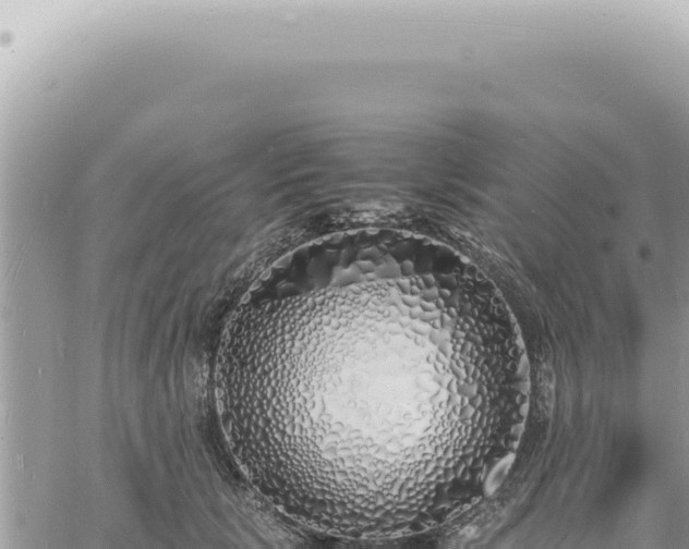 X0000060770657200511171214