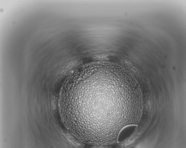 X0000060770658200511171214