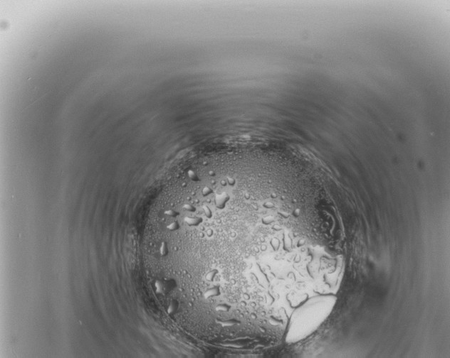 X0000060770659200511171214