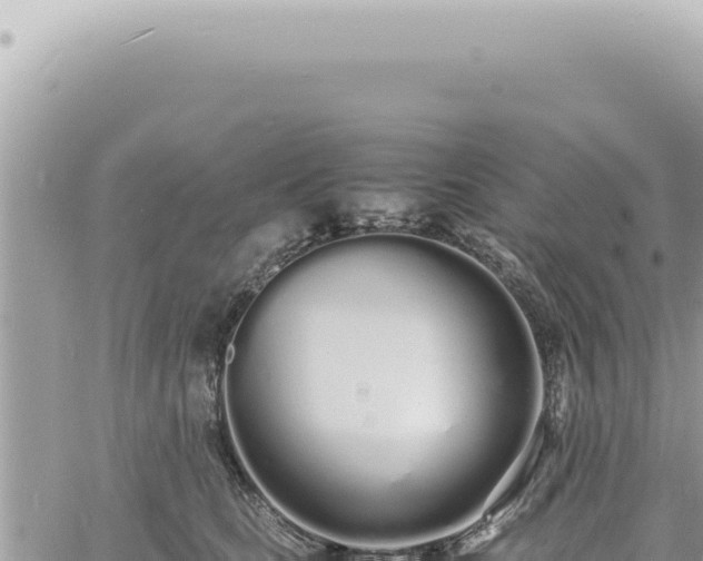 X0000060770661200511171214