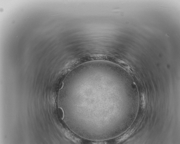 X0000060770662200511171214