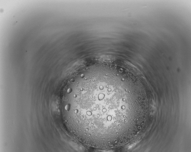 X0000060770663200511171214